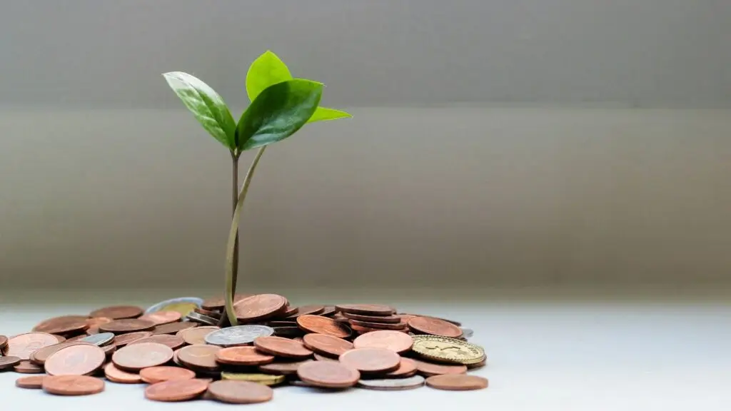 Small green plant sprouting from a pile of coins, symbolizing legacy and estate growth.